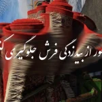 چگونه از بید زدگی فرش جلوگیری کنیم؟